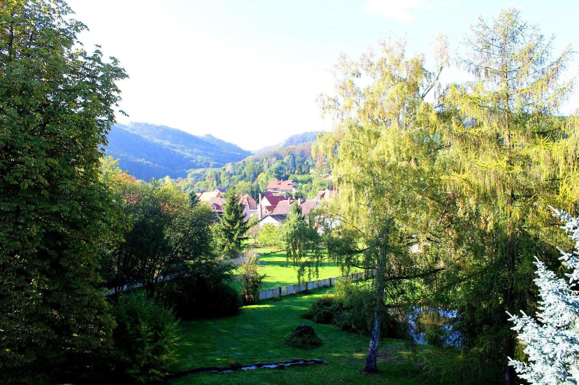 Schlosshotel Stecklenberg Thale Exterior foto